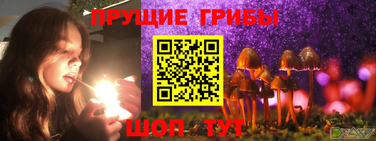 Псилоцибиновые грибы ЛСД Москва