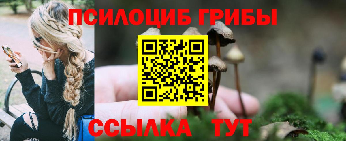 Галлюциногенные грибы Cubensis  Вход с VPN  Москва 